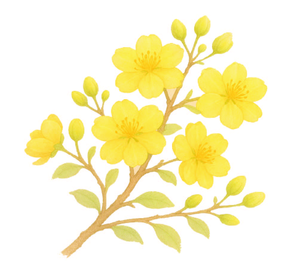 Thú chơi hoa ba miền