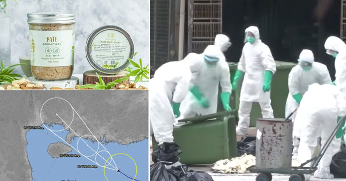 Điểm tin Việt nam sáng 16/9: Thêm 10 người ngộ độc vì ăn pate Minh Chay; Quảng Trị ban bố dịch cúm gia cầm H5N6