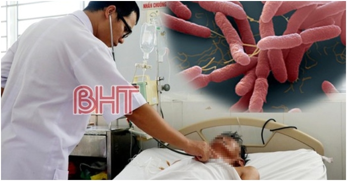 4 người ở Quảng Trị tử vong do mắc bệnh 'vi khuẩn ăn thịt người' Whitmore