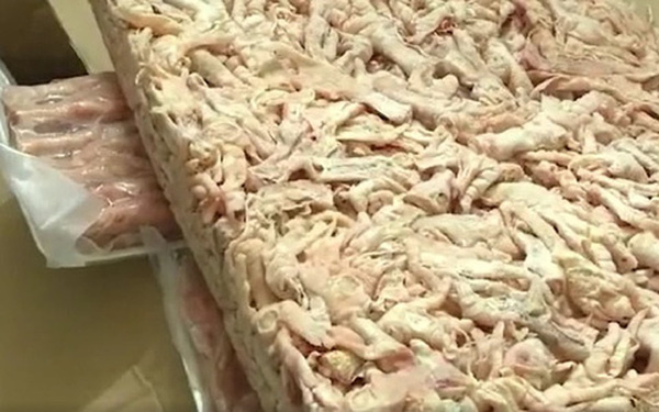 Việt nam: Phát hiện kho hàng đông lạnh chứa hàng chục tấn nội tạng lợn nhiễm dịch tả lợn châu Phi