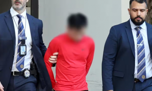 Tình tiết mới trong vụ sát hại người mẹ gốc Việt ở Bankstown: Nghi phạm gốc Việt đã bị bắt giữ