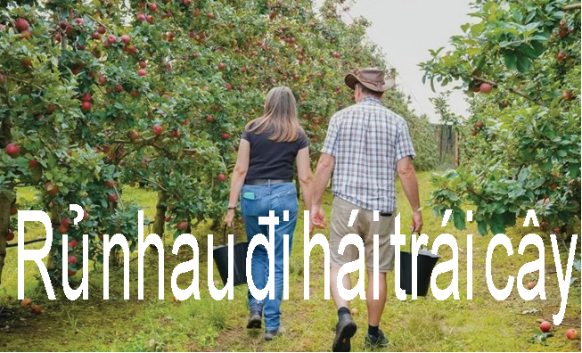 Mùa nào quả đó.