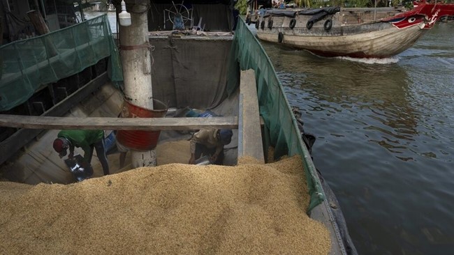 Việt Nam: Đồng bằng sông Cửu Long tìm giải pháp cho tình trạng ngập úng