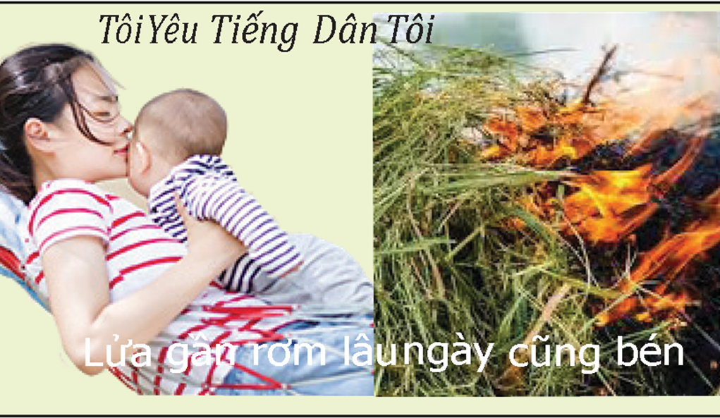 Tôi  YêuTiếng Dân Tôi : Lửa gần rơm lâu ngày cũng bén