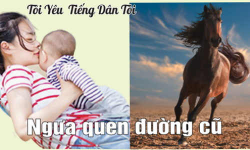 Tôi Yêu Tiếng Dân Tôi: - Ngưa quen đường cũ