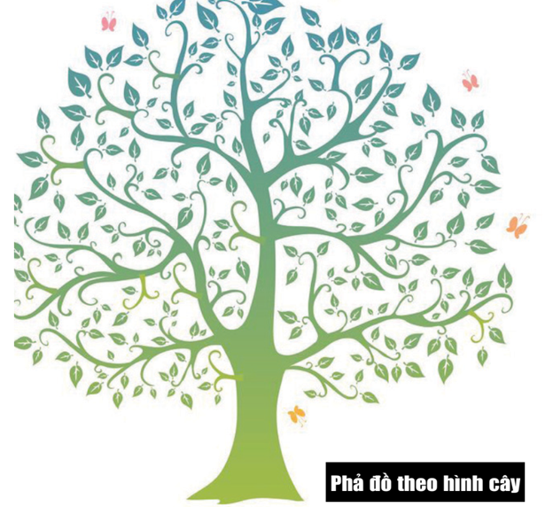 Không dùng đến DNA: - Nhờ đâu người Việt tìm ra gốc gác dòng họ?