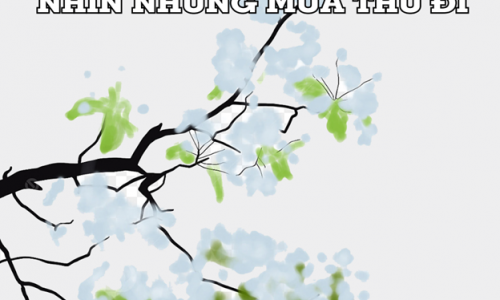 NHÌN NHỮNG MÙA THU ĐI