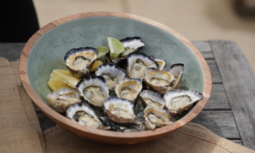 Hoạt động thu hoạch hàu tại vịnh Franklin Habour phải đóng cửa do tảo độc nở hoa, một khu vực khác được mở cửa trở lại