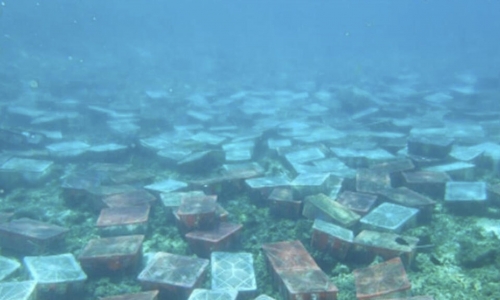 Biển Đông : Động cơ chính trị của Trung Quốc đằng sau tuyên bố bảo vệ môi trường ?