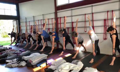 Yoga có giúp người cao niên ngừa té ngã? Nghiên cứu mới tại Úc tiết lộ điều bất ngờ