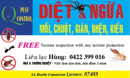  DIỆT & NGỪA  MỐI, CHUỘT, GIÁN, NHỆN, KIẾN