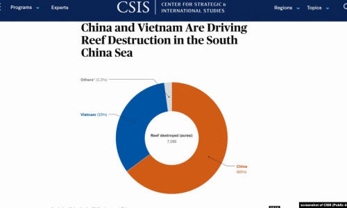 Gần 2.900 ha rạn san hô bị hủy diệt ở Biển Đông; Trung Quốc, Việt Nam phá nhiều nhất