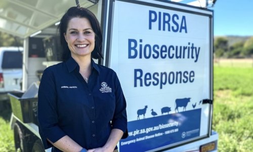 Nam Úc khai triển các trạm an toàn sinh học lưu động để ứng phó với dịch bệnh trên vật nuôi