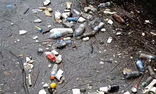 Thêm nhiều rác thải nhựa bị cấm