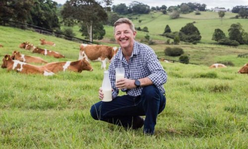Úc sản xuất sữa tươi có thời hạn sử dụng ít nhất 2 tháng.