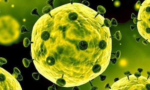 Úc đi đầu thế giới, tự tạo ra coronavirus trong môi trường phòng thí nghiệm, đẩy mạnh việc chế tạo vắc-xin