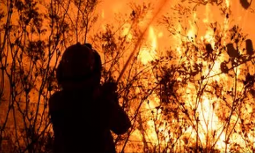 Các nhà khoa học tìm thấy mối liên hệ giữa cháy rừng và La Nina