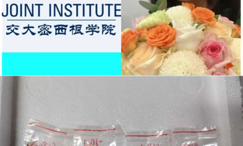 Nữ học giả Trung quốc bị bắt tại Mỹ