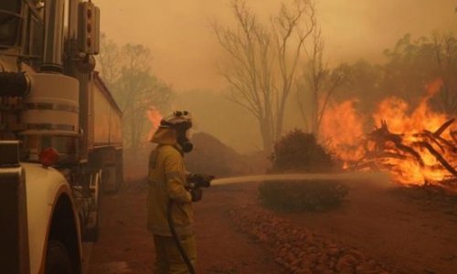 Tiểu bang Tây Úc: Hơn 70 ngôi nhà bị phá hủy trong đám cháy rừng cùng với 'tình hình cực kỳ bất ổn'.