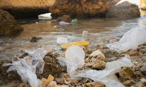 Tiểu bang thứ hai ở Úc cấm sử dụng đồ nhựa dùng một lần