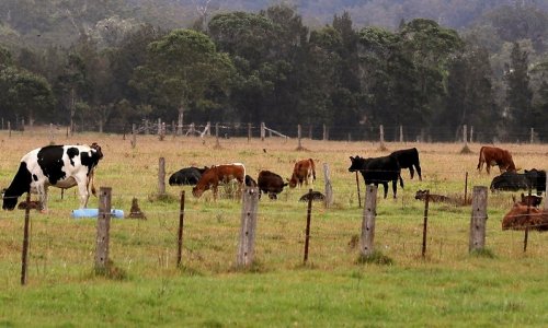 Khảo sát tiết lộ hơn 80 phần trăm nông dân ở NSW từng bị nhắm mục tiêu trộm cắp
