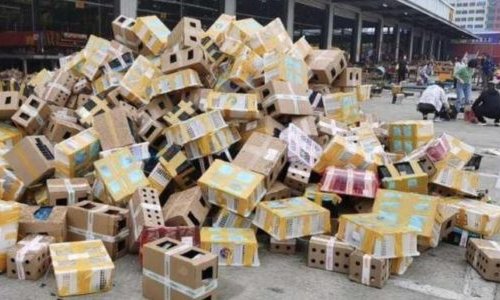 5,000 thú cưng chết trong hộp giấy đục lỗ tại kho hàng ở Trung Quốc
