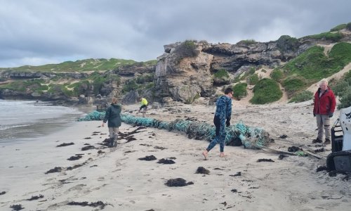 Một đống rác khổng lồ được dọn sạch để bảo vệ môi trường sống của sư tử biển ở vịnh Seal Bay.