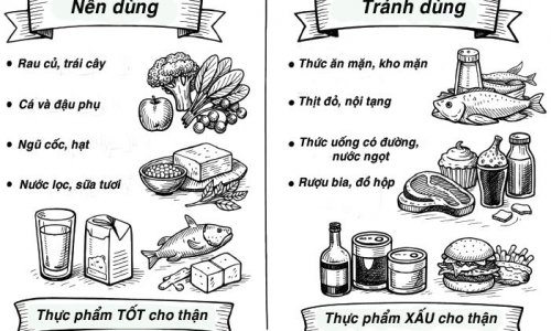 Những thực phẩm người yếu thận nên tránh