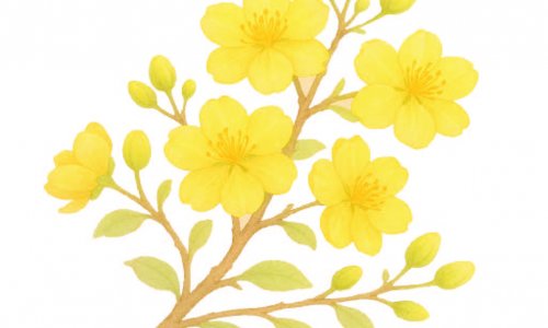 Thú chơi hoa ba miền