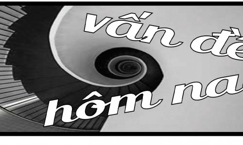 Bài học từ các vụ trôm cắp xe tại Queensland