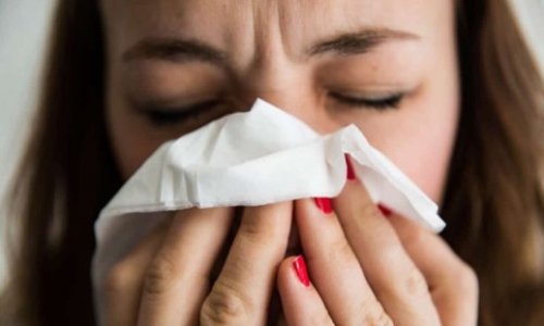 Phương thức giữ gìn sức khỏe trong mùa Đông thay vì tìm nơi ấm áp để “lánh nạn”