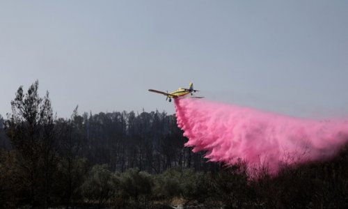 Israel ban bố tình trạng khẩn cấp quốc gia vì cháy rừng