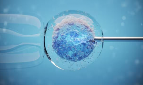 Trung tâm thụ tinh trong ống nghiệm Monash IVF lần thứ hai cấy nhầm phôi thai cho bệnh nhân