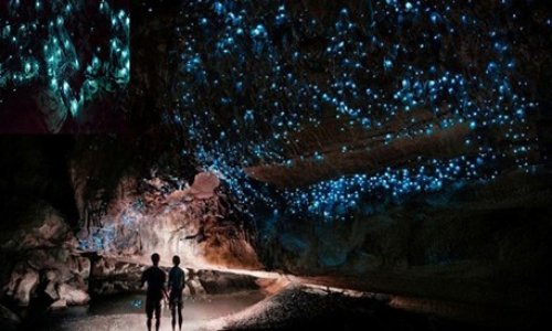 Khi hết tuần lễ ánh sáng Vivid tại Sydney nên ngắm đường hầm đom đóm Lithgow