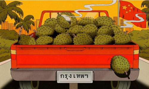 Sự trỗi dậy của ngoại giao sầu riêng