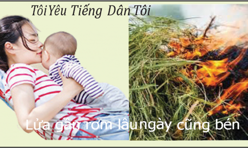 Tôi  YêuTiếng Dân Tôi : Lửa gần rơm lâu ngày cũng bén