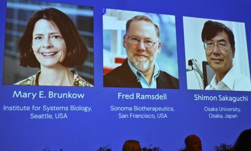 Nobel Y Học 2025 được trao cho ba khoa học gia Mỹ-Nhật do những khám phá về miễn dịch ngoại biên.