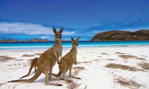 BIẾT ĐỂ LÊN KẾ HOẠCH THÍCH NGHI: - Úc sẽ hứng chịu một mùa hè đỏ lửa