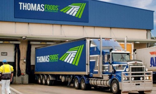Công ty sản xuất thịt gia súc Thomas Foods International thu hẹp hoạt động tại Adelaide Hills do hạn hán