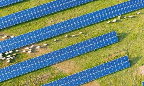Công ty Flow Power bắt đầu phát điện tại hai trang trại năng lượng điện mặt trời đầu tiên của mình ở tiểu bang Nam Úc