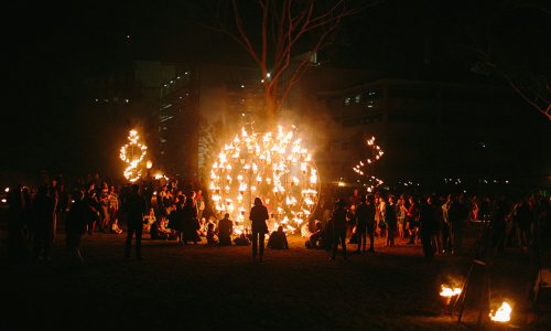 Lễ hội lửa Adelaide – Adelaide Fire Gradens – sẽ tiếp tục được chuẩn bị và sắp xếp diễn ra trong Vườn bách thảo thành phố (Botanic Garden).