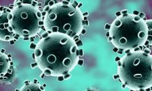 Coronavirus: nhận biết triệu chứng, tỉnh táo trước thông tin sai lạc