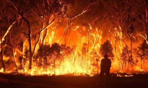 Úc Đại Lợi phát triển vệ tinh dự báo cháy rừng