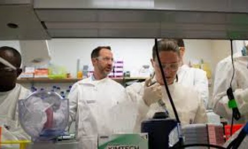 Vắc xin chống coronavirus được thử nghiệm trên động vật ở Đại học Queensland trong tuần này