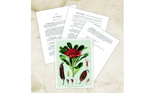 Hồi ký - Nguyễn Văn Phong - Nhà và Nhà tôi - CHƯƠNG III - XÂY DỰNG NHÀ (P7)