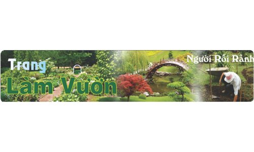 Hướng dẫn chiết cành cây ăn trái
