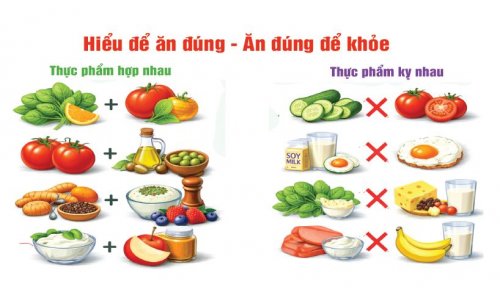 Hại và Lợi của Thực phẩm đi kèm nhau