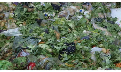 Giải pháp cho chất thải thực phẩm bị lãng phí tại Úc