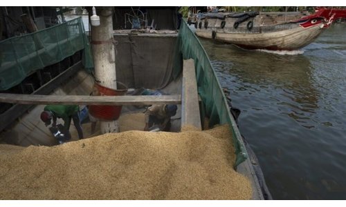 Việt Nam: Đồng bằng sông Cửu Long tìm giải pháp cho tình trạng ngập úng