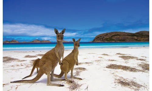 BIẾT ĐỂ LÊN KẾ HOẠCH THÍCH NGHI: - Úc sẽ hứng chịu một mùa hè đỏ lửa